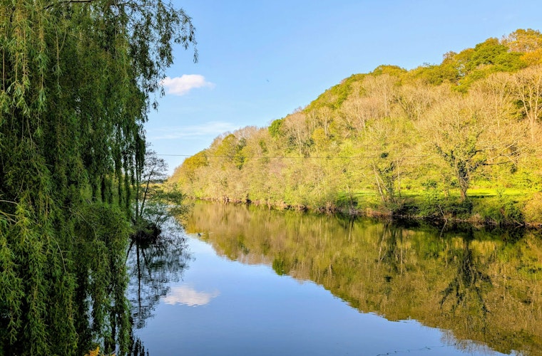 Ye Old Ferrie Inn River View