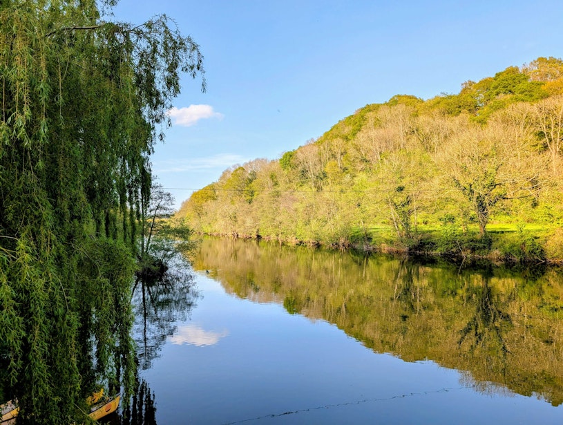 Ye Old Ferrie Inn River View