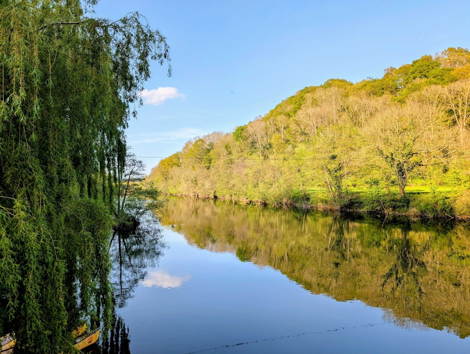 Ye Old Ferrie Inn River View