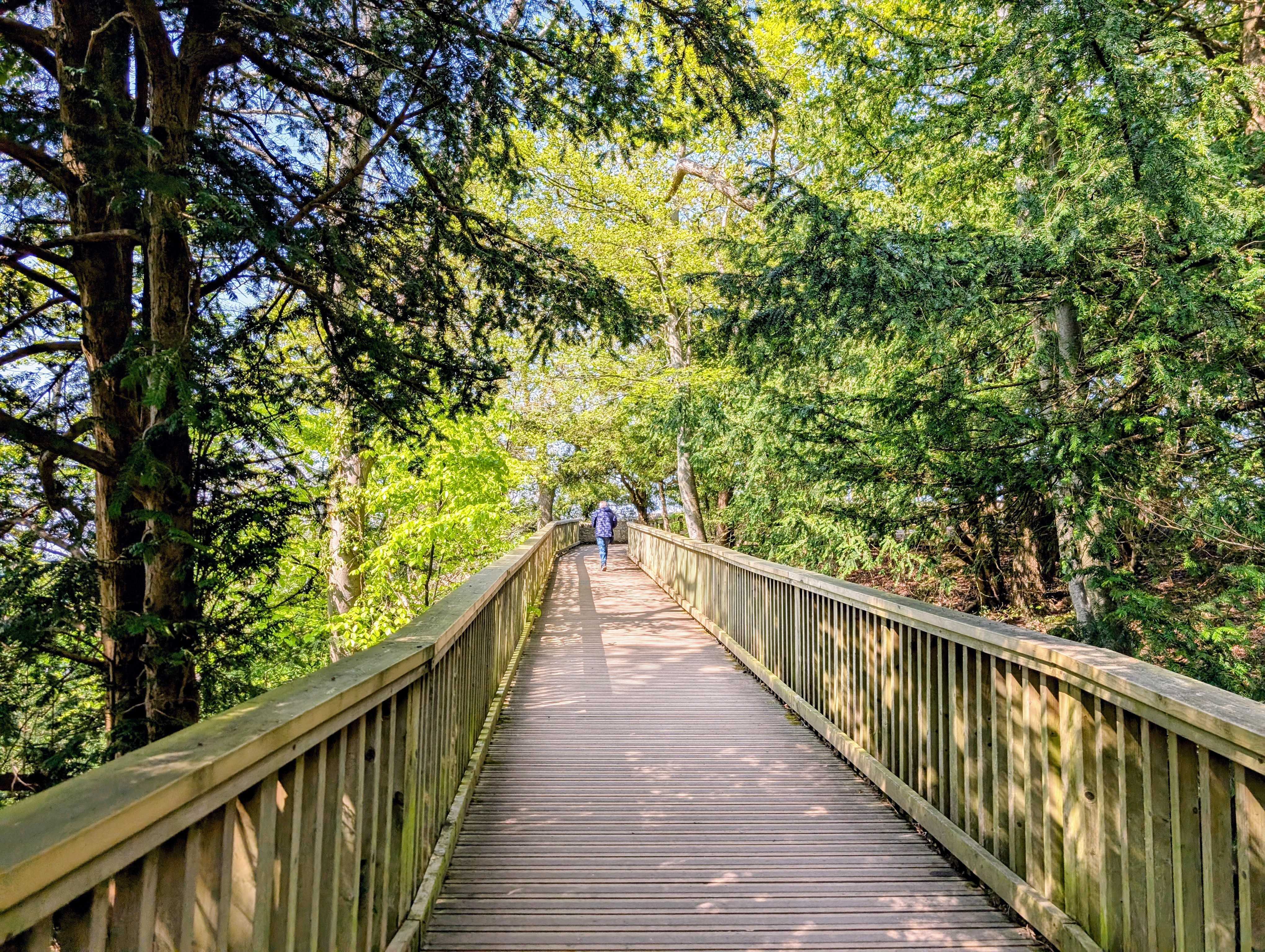 Path To Rock Viewpoint