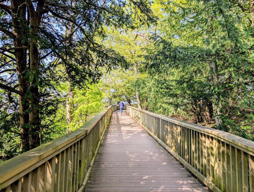 Path To Rock Viewpoint
