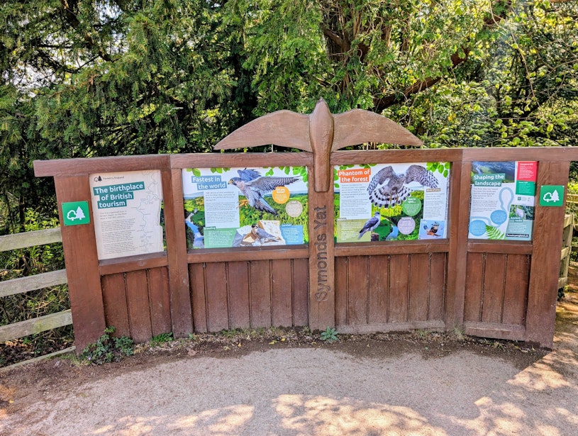 Rock Wildlife & Nature Info