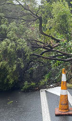 Peninsula HR
