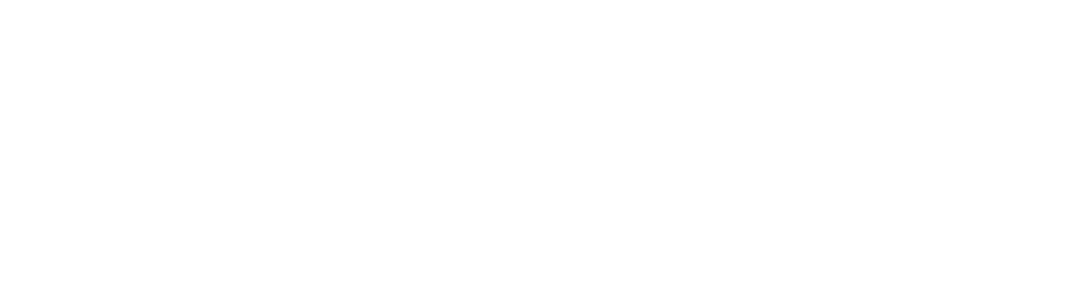 Case JobsFirstNYC | Solv