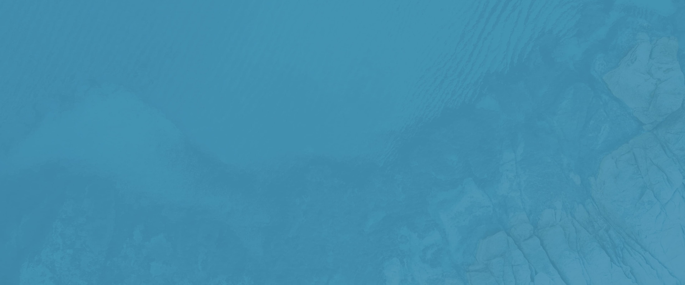 Banner media