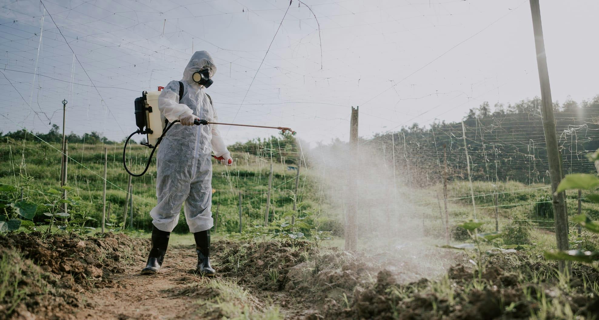someone in hazmat suit spraying plants