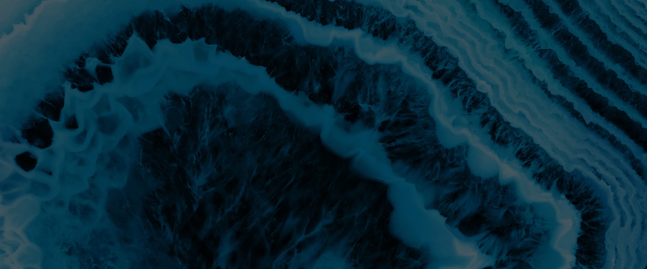 Banner media