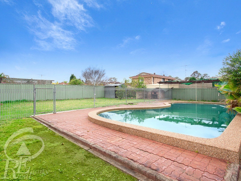 Image of backyard