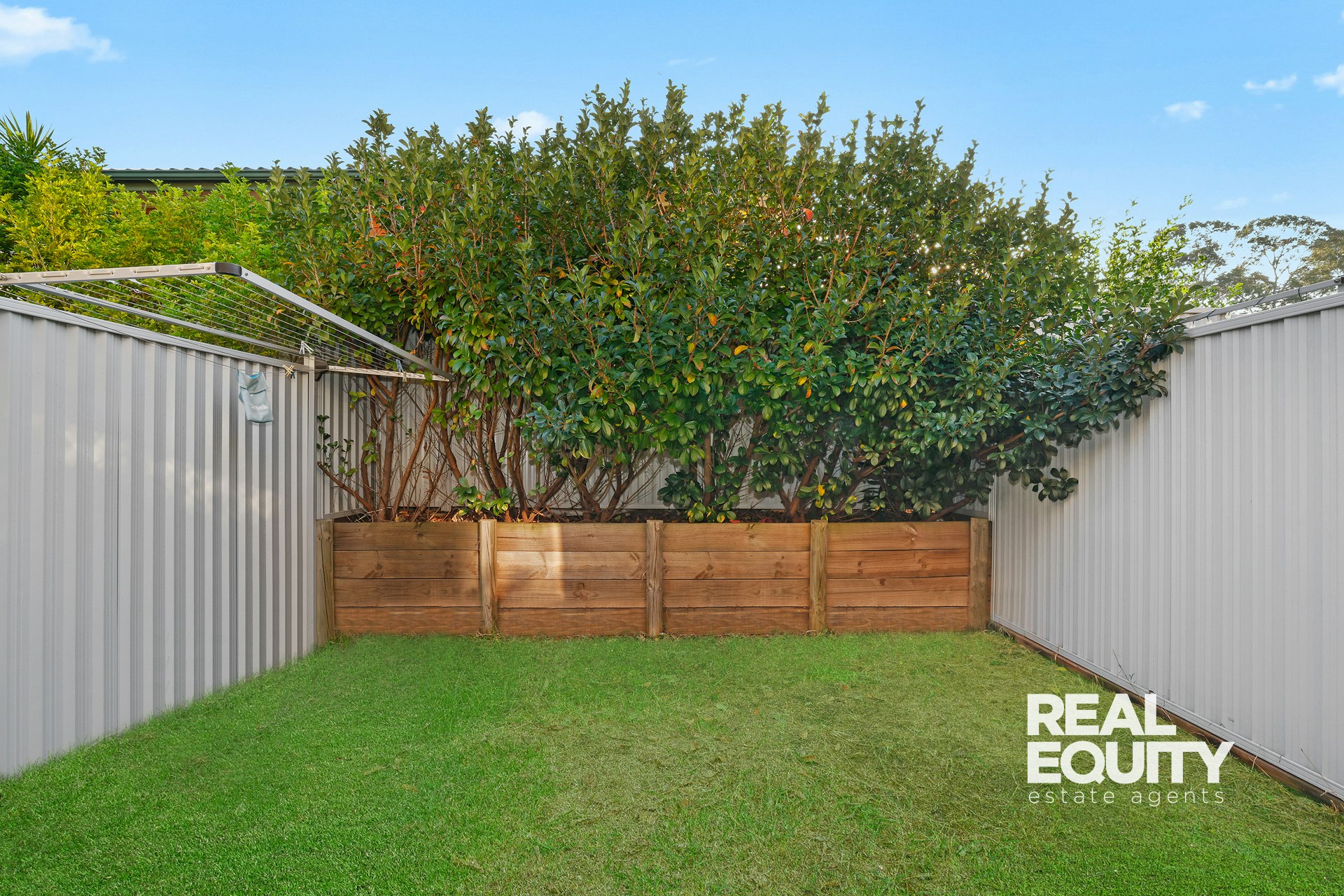Image of backyard