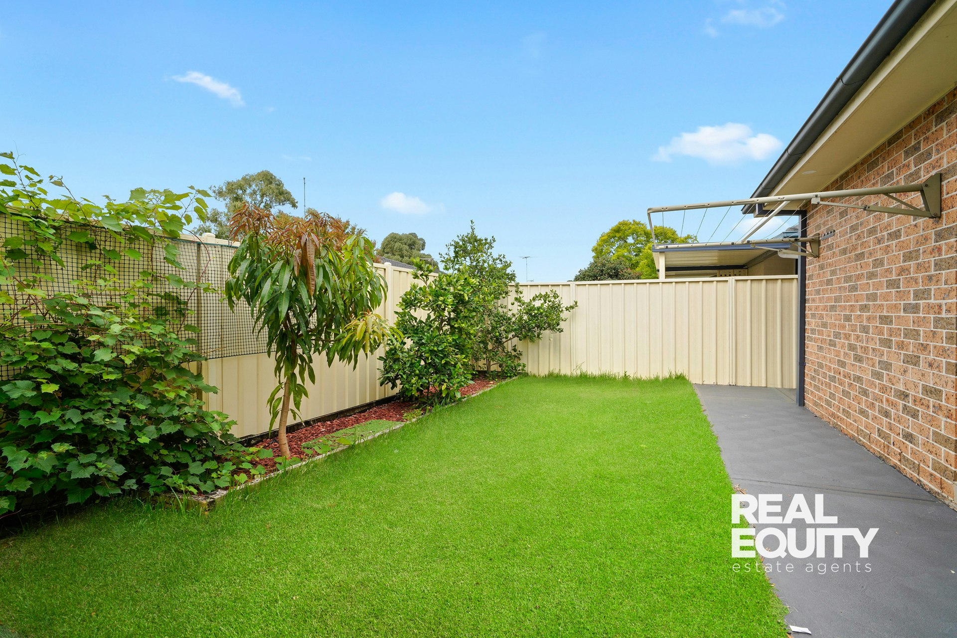 Image of backyard