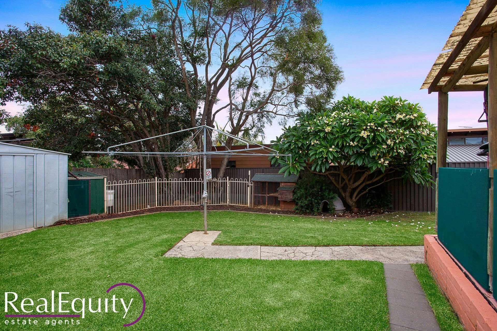 Image of backyard
