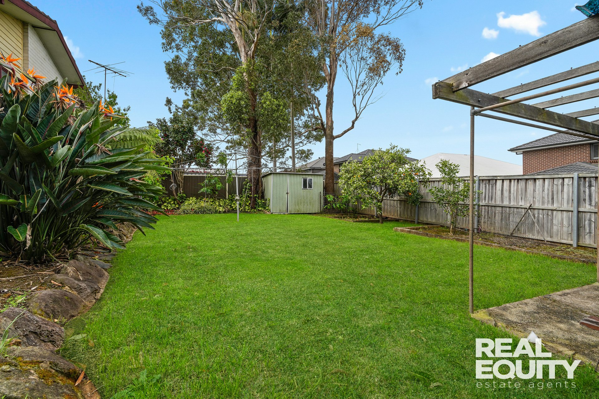 Image of backyard