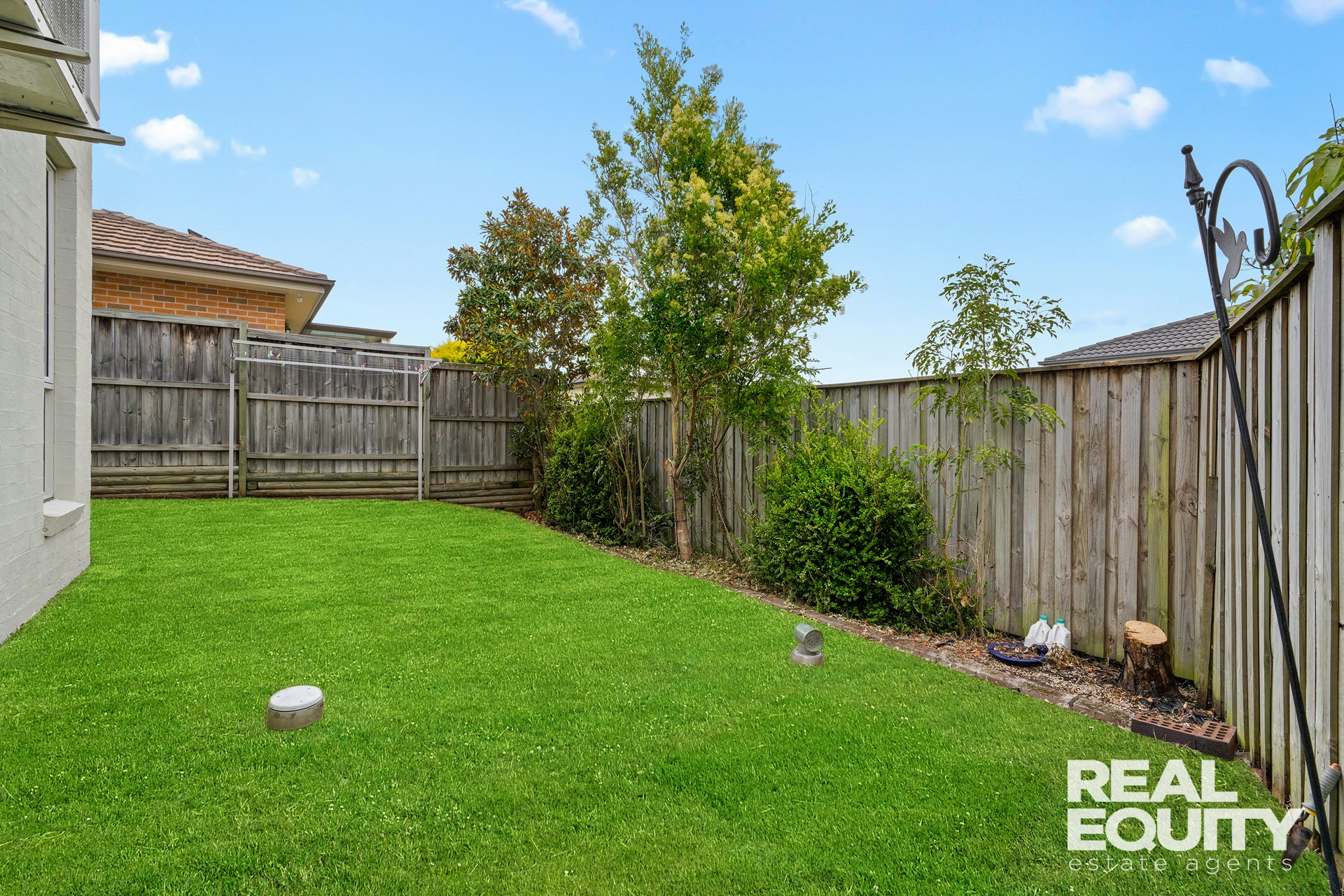 Image of backyard