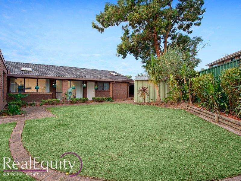 Image of backyard