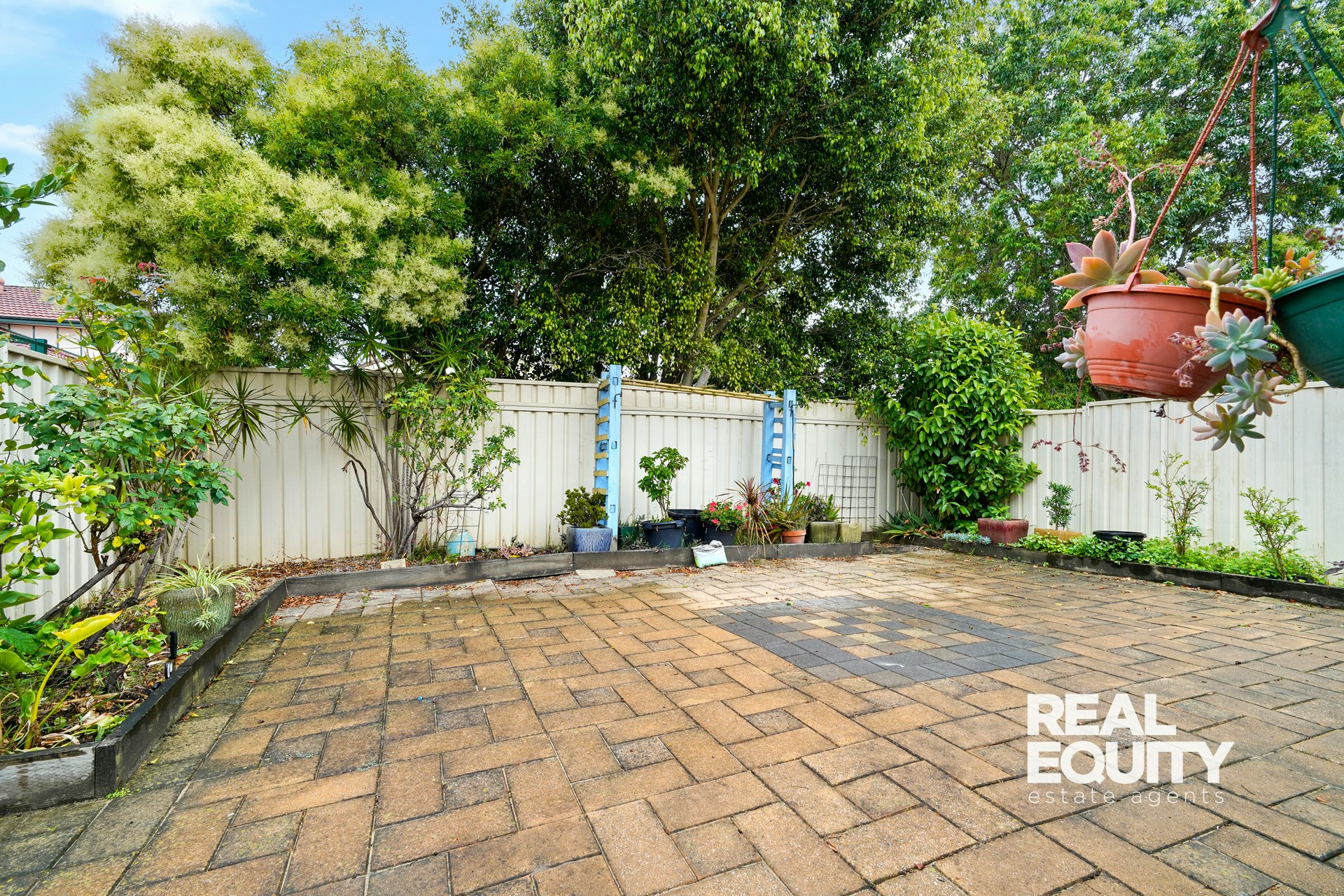 Image of backyard