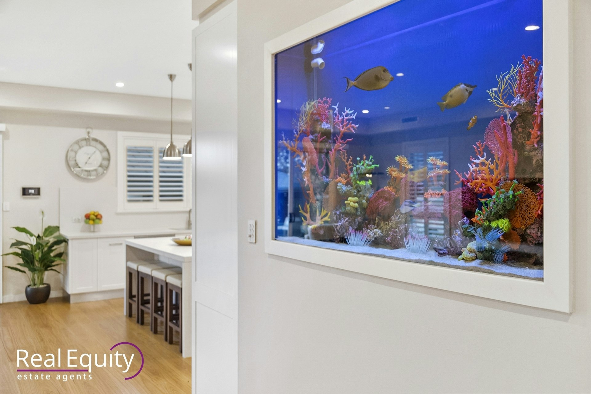 aquarium