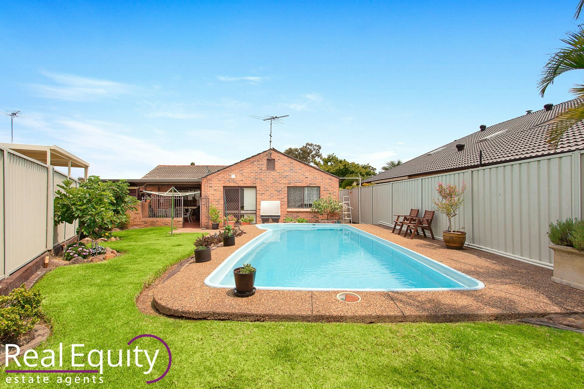 Image of backyard