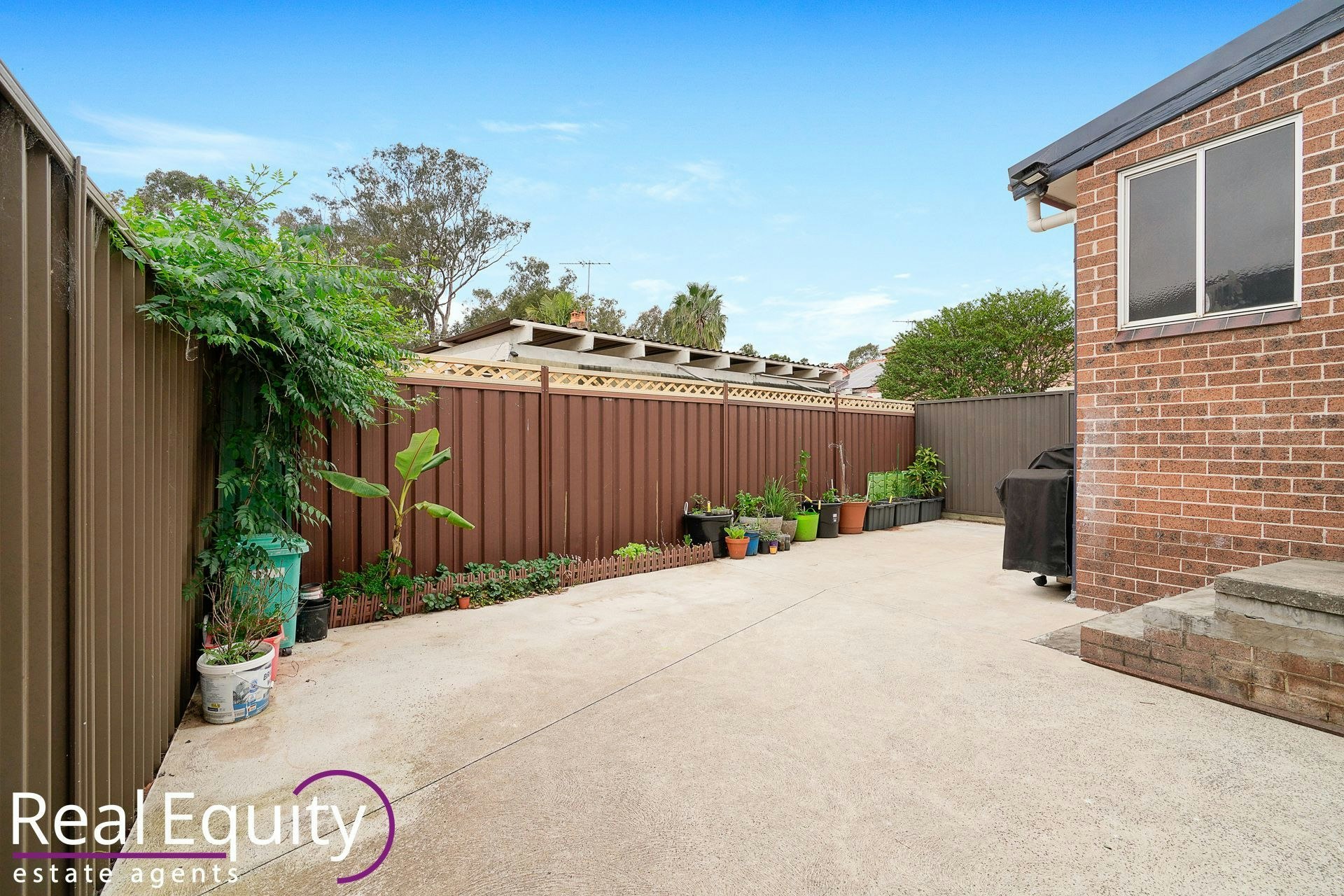 Image of backyard