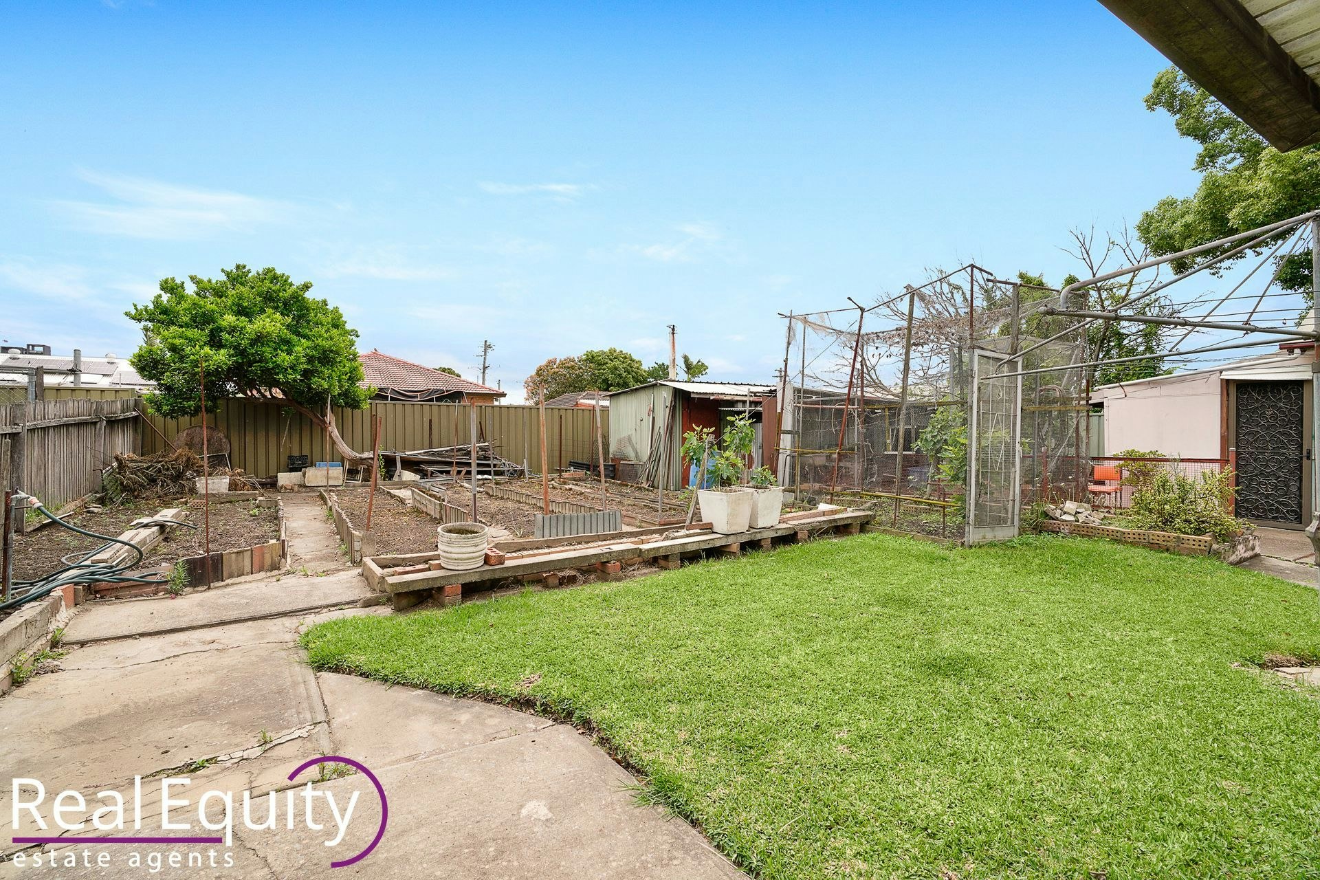 Image of backyard