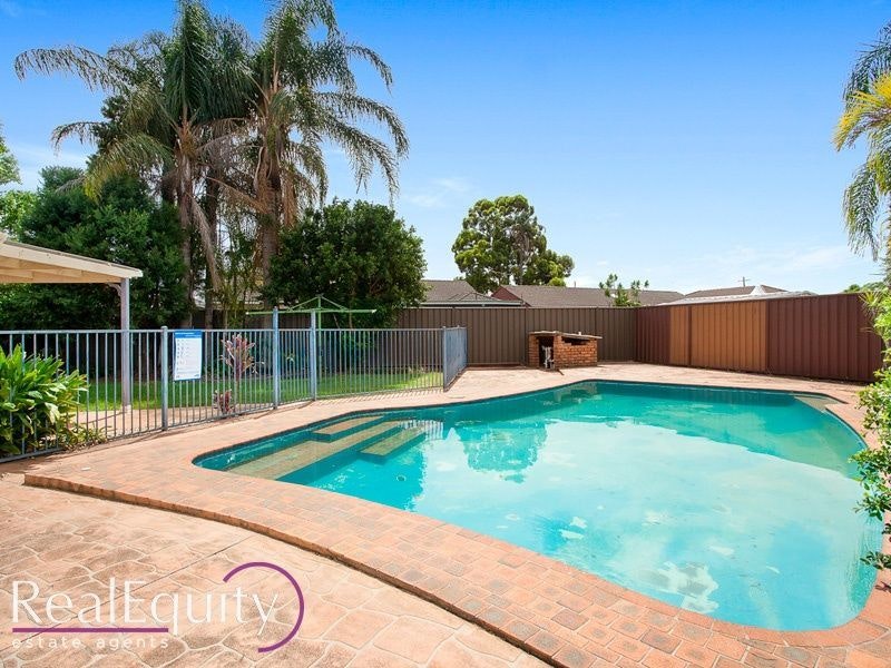 Image of backyard