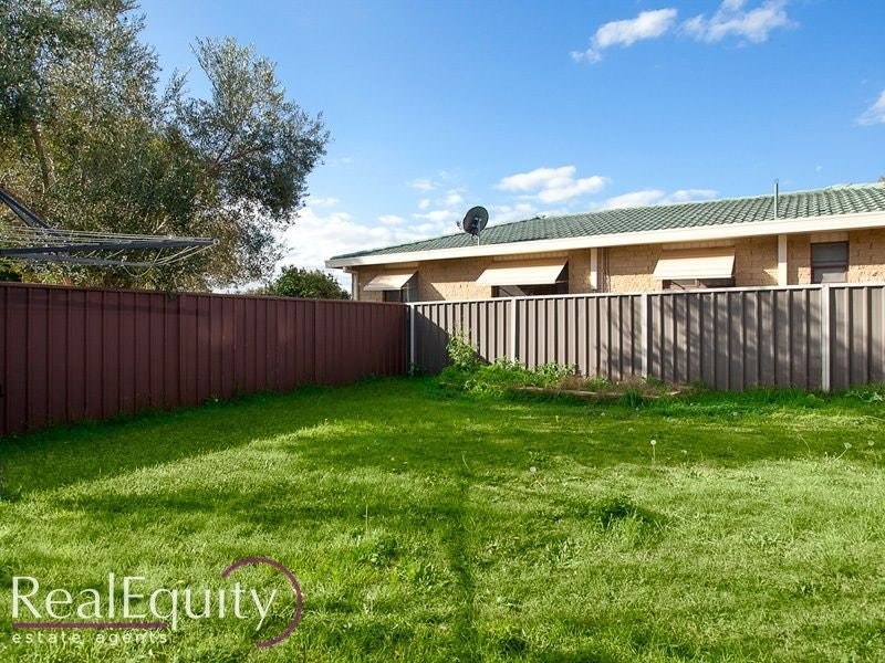 Image of backyard