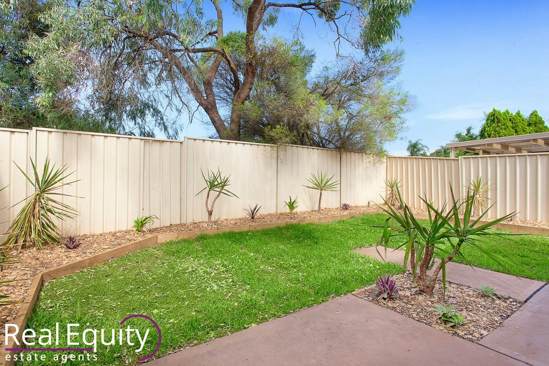Image of backyard