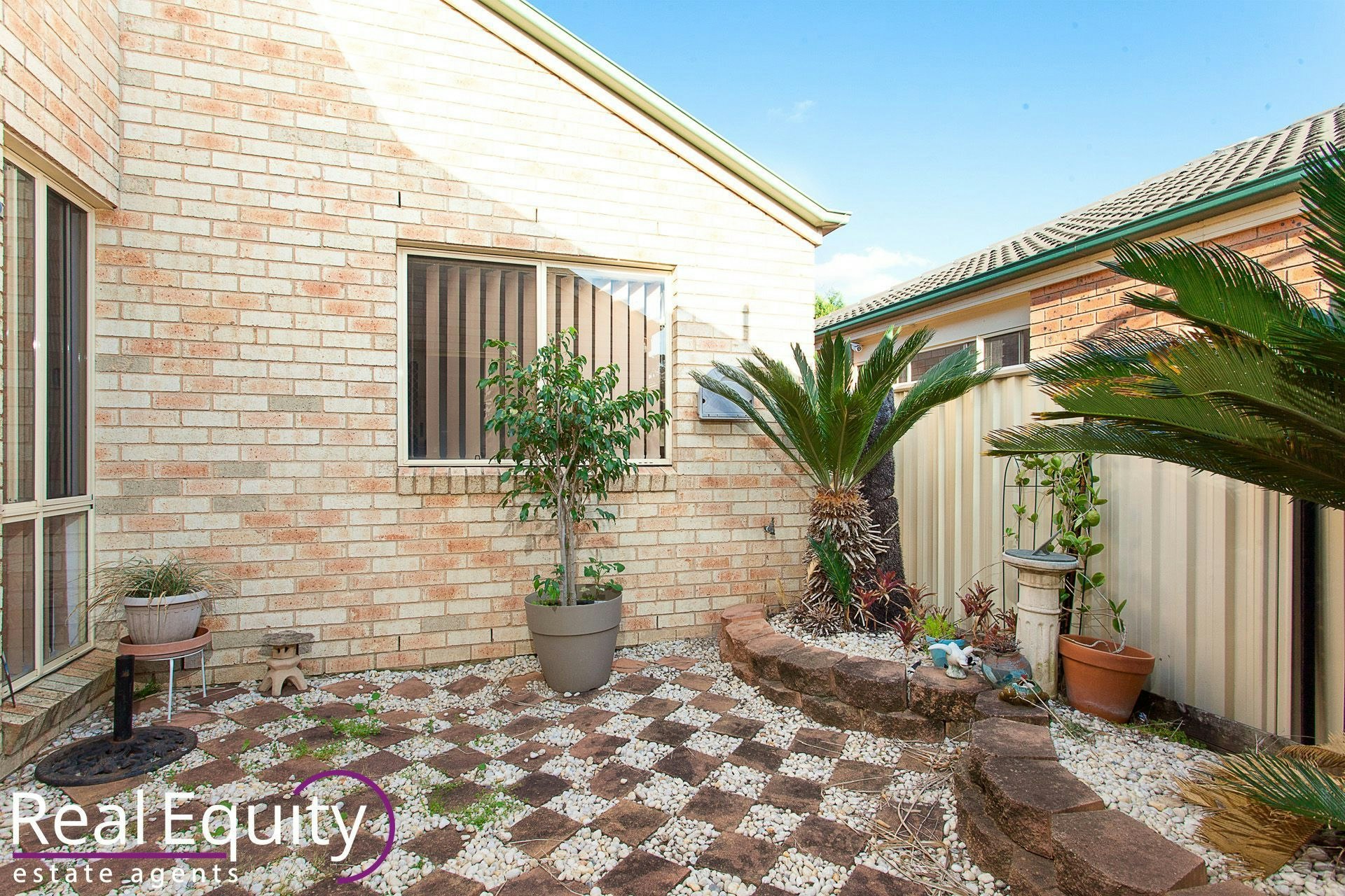 Image of backyard