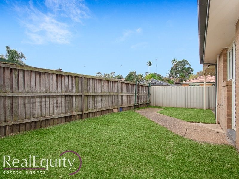 Image of backyard