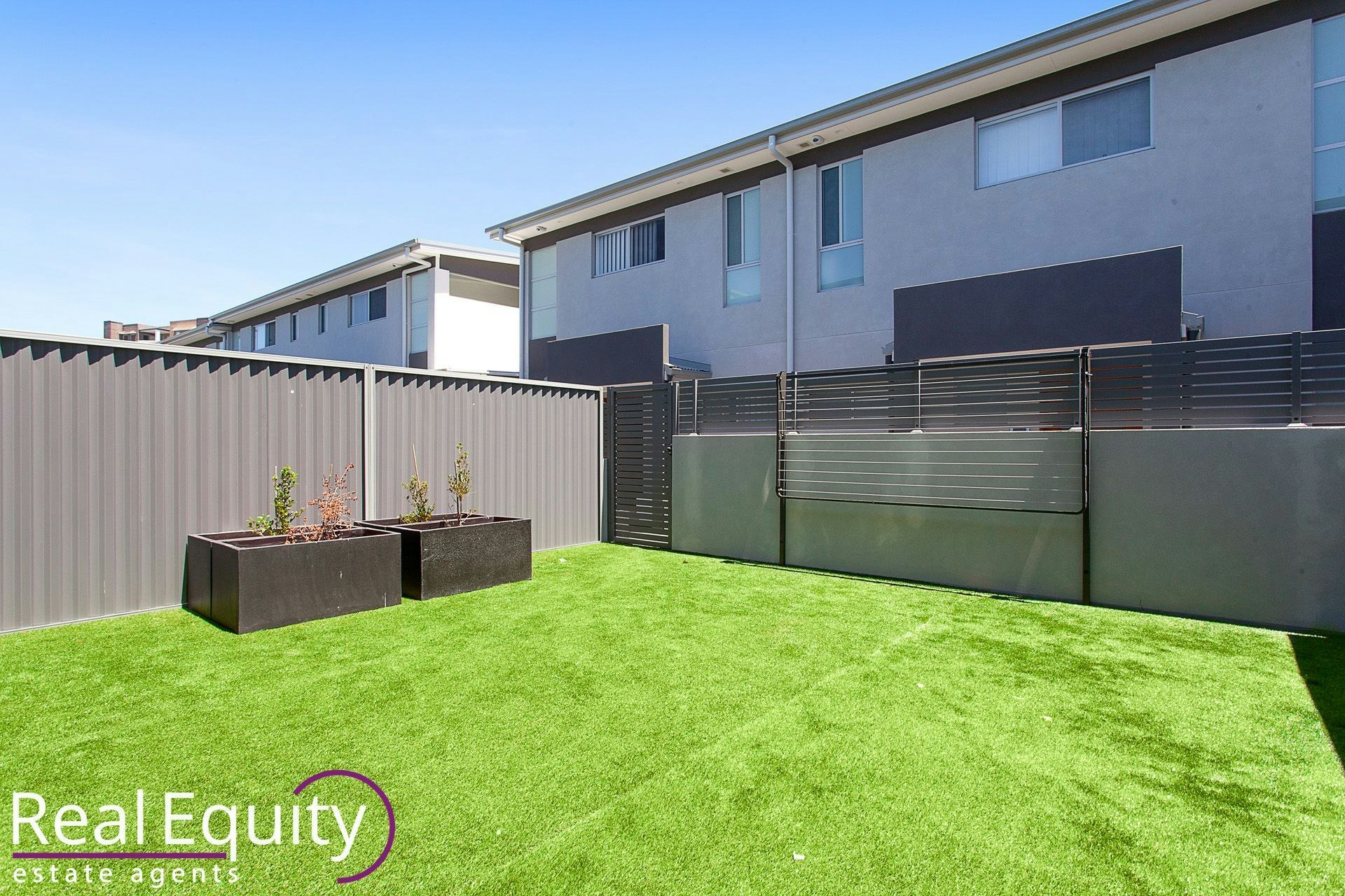 Image of backyard