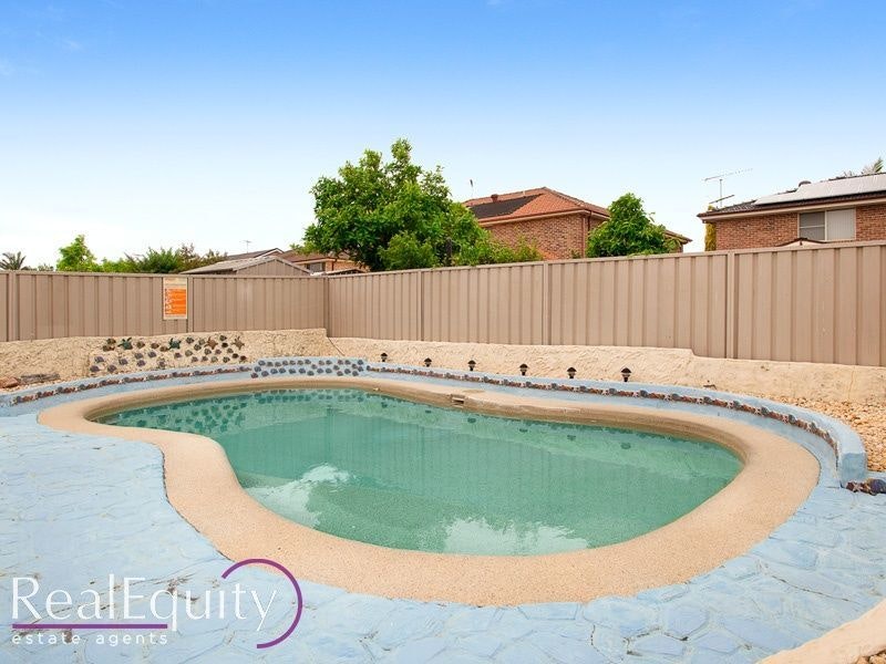 Image of backyard