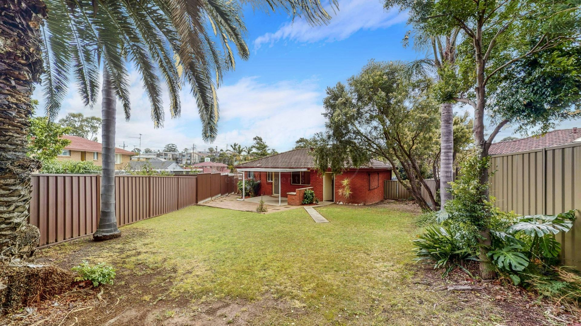 Image of backyard