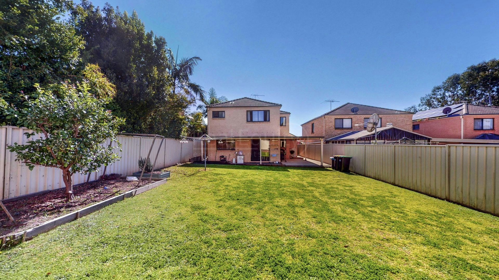 Image of backyard