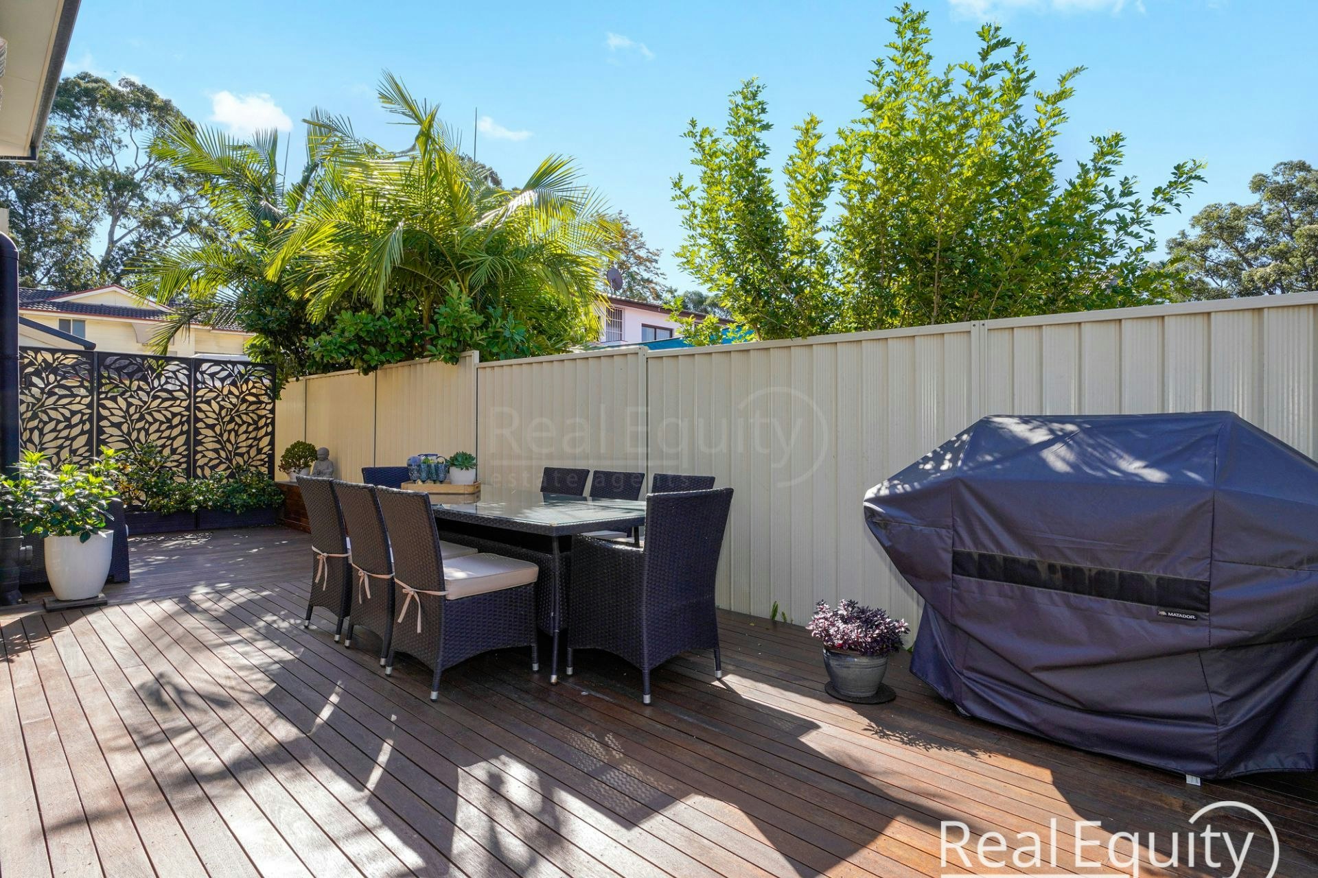 Image of backyard