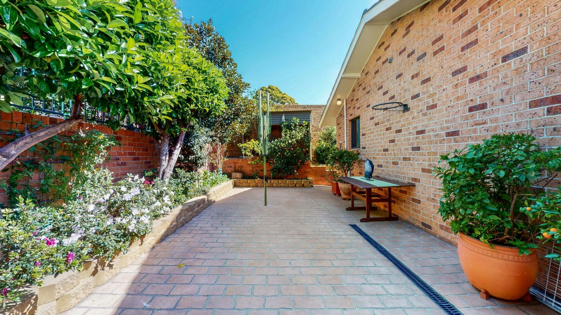 Image of backyard