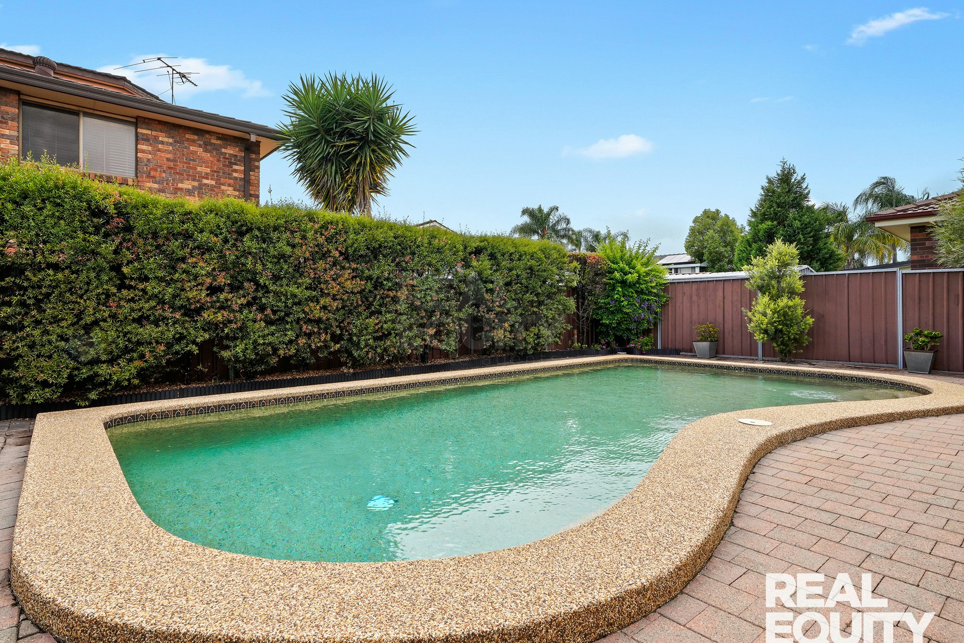 Image of backyard