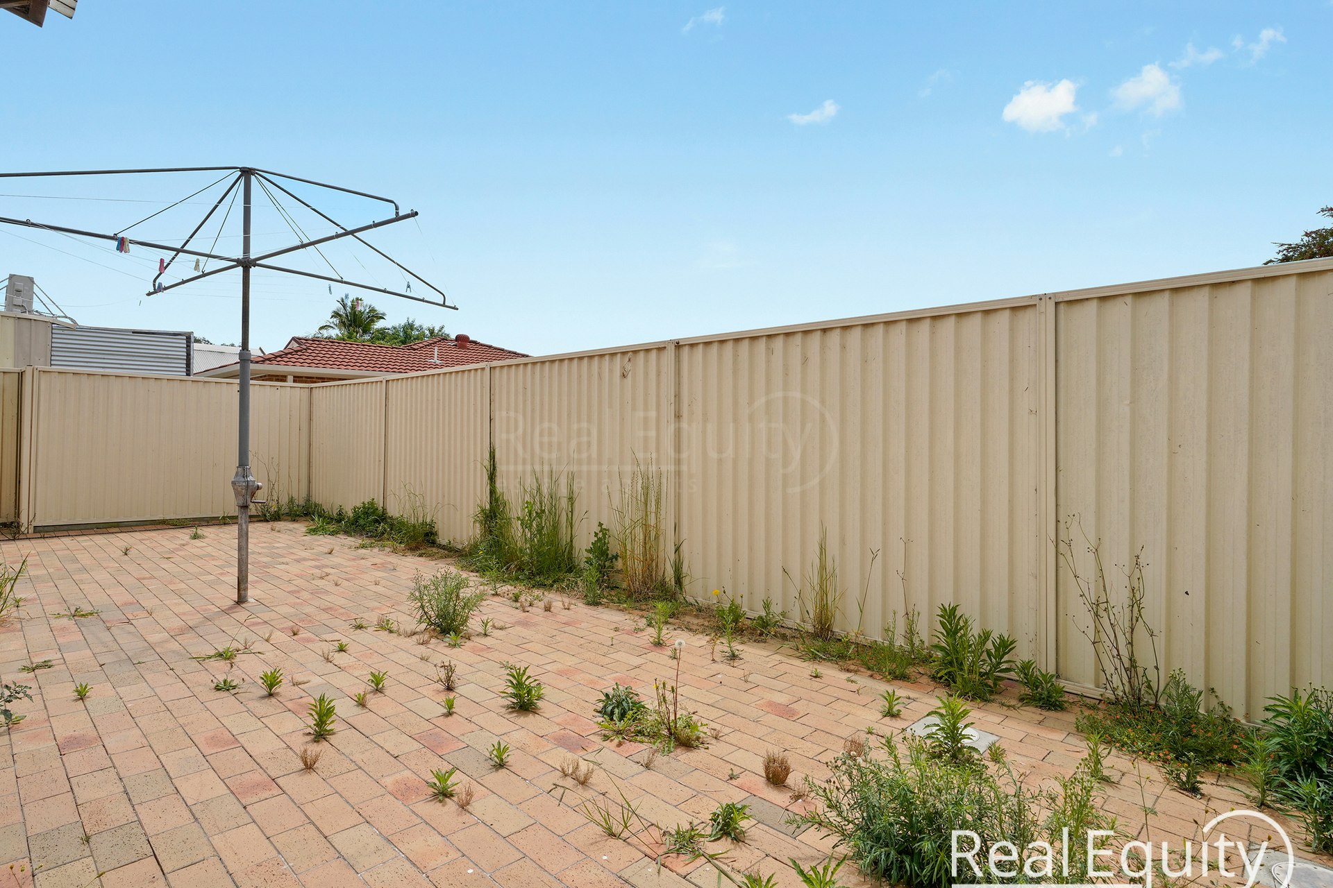 Image of backyard
