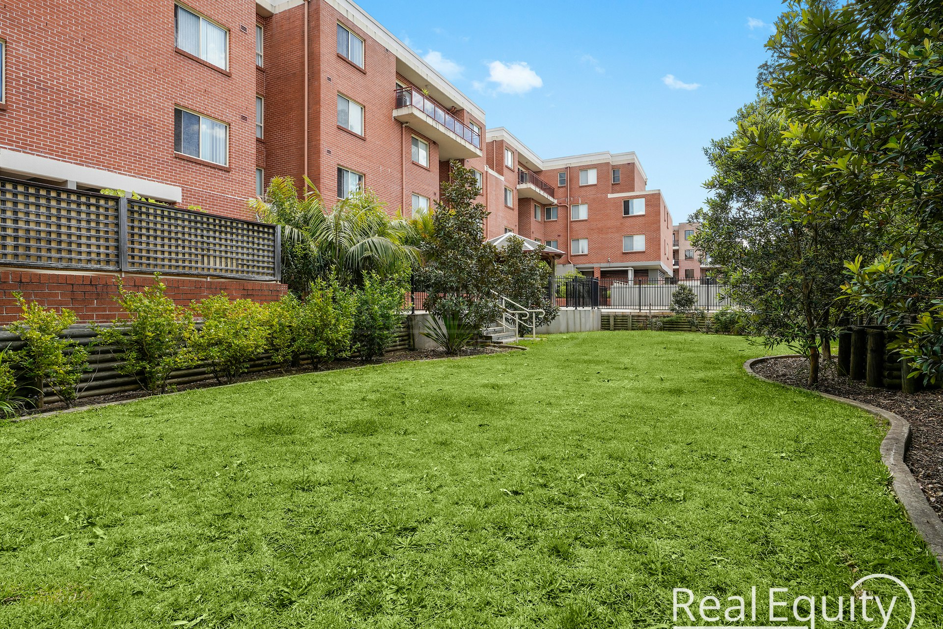 Image of grass