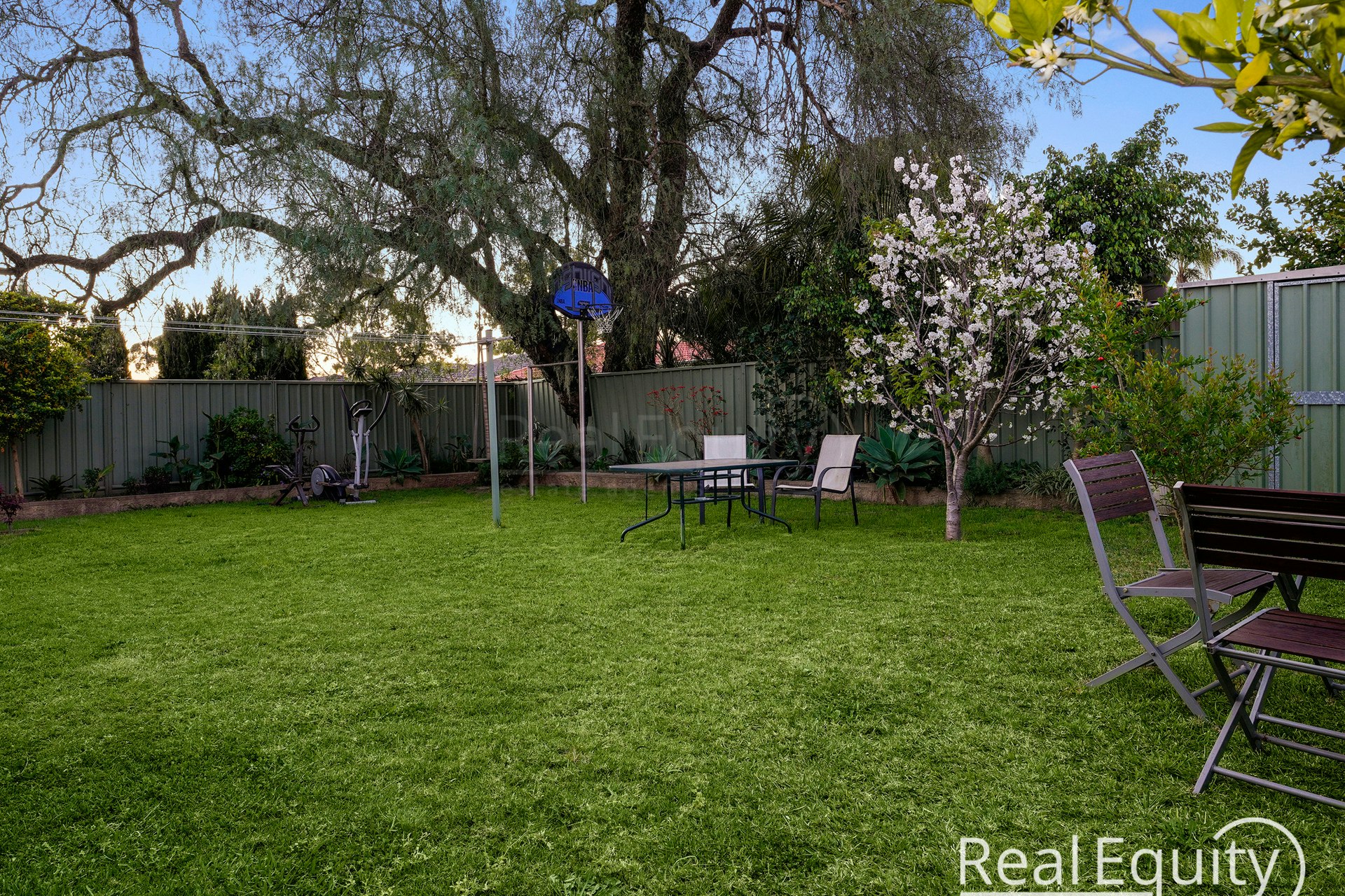 Image of backyard