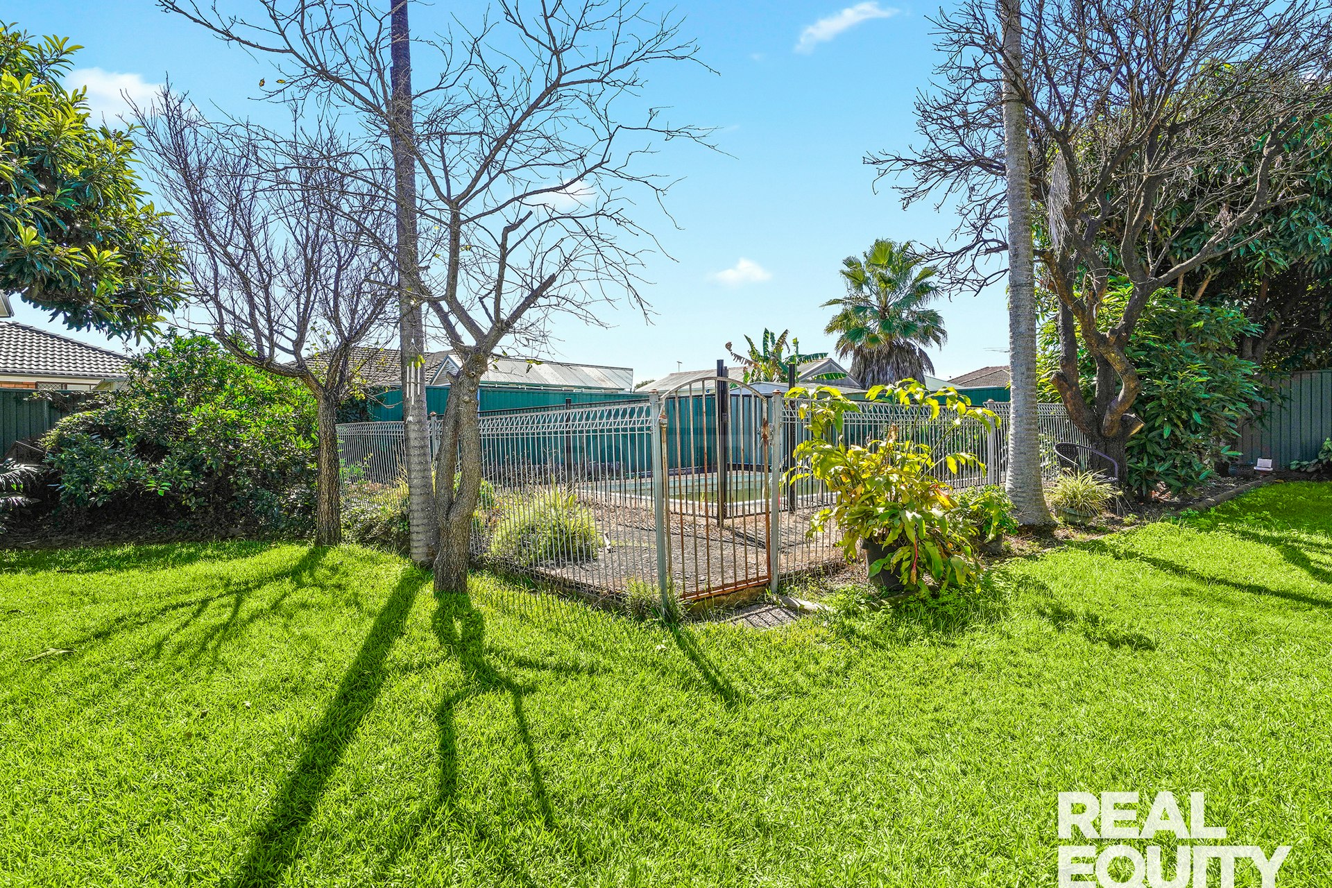 Image of backyard