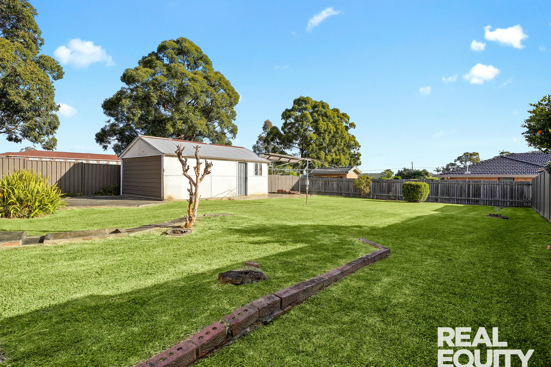 Image of grass