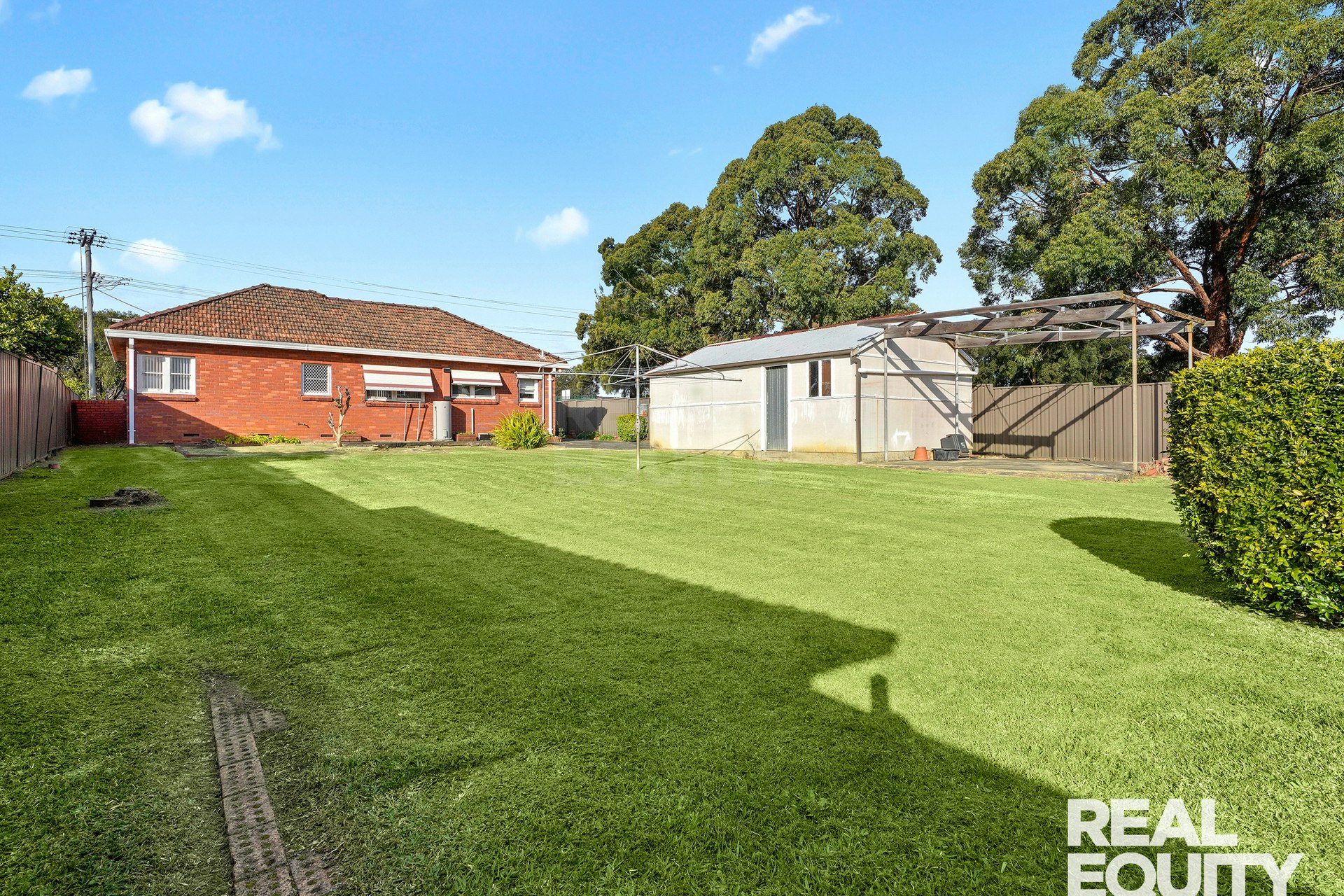 Image of grass