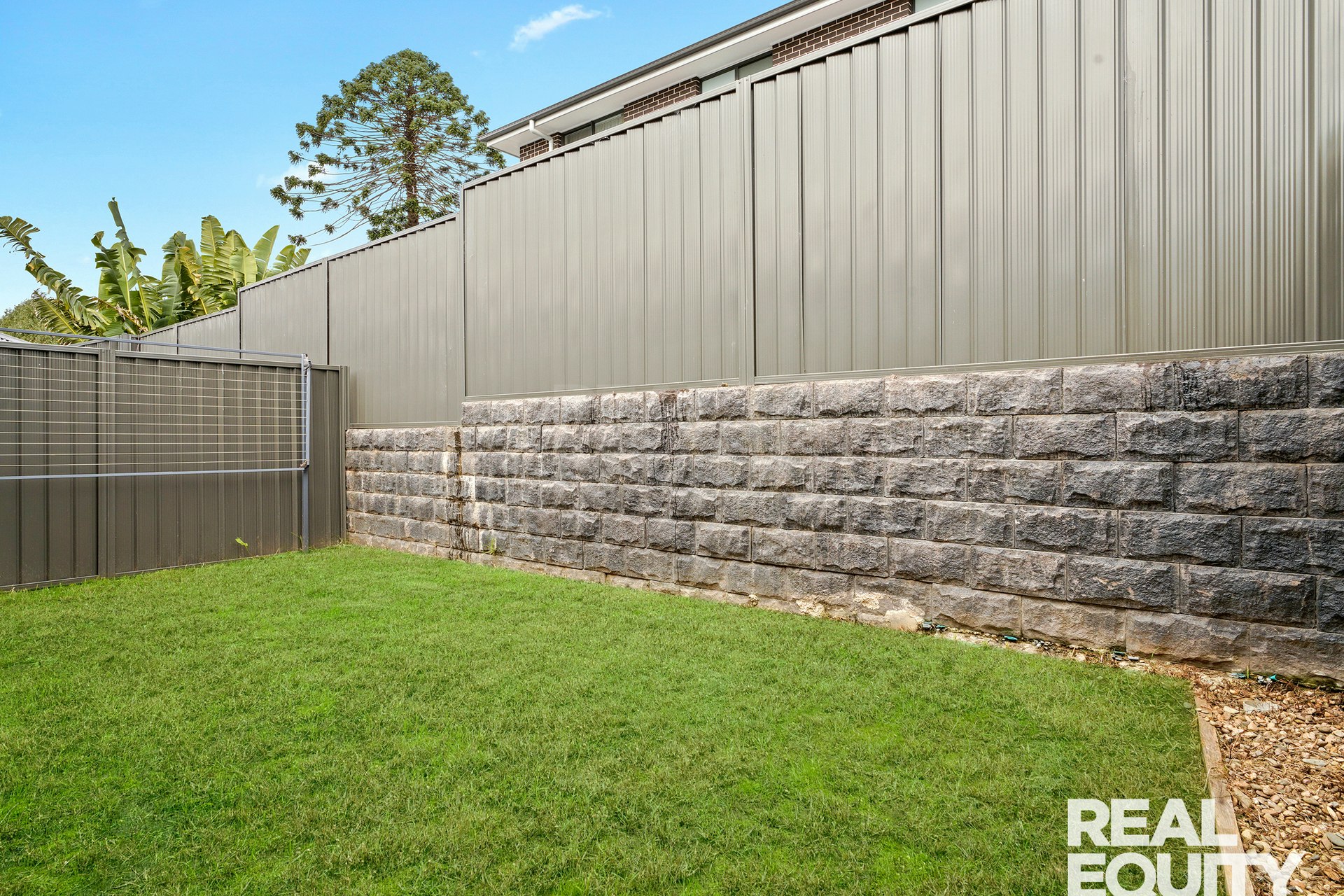 Image of backyard