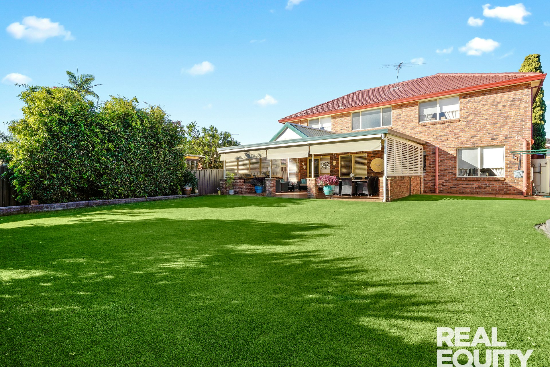 Image of grass