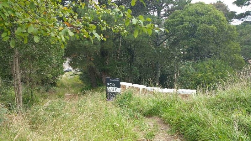 vegetation