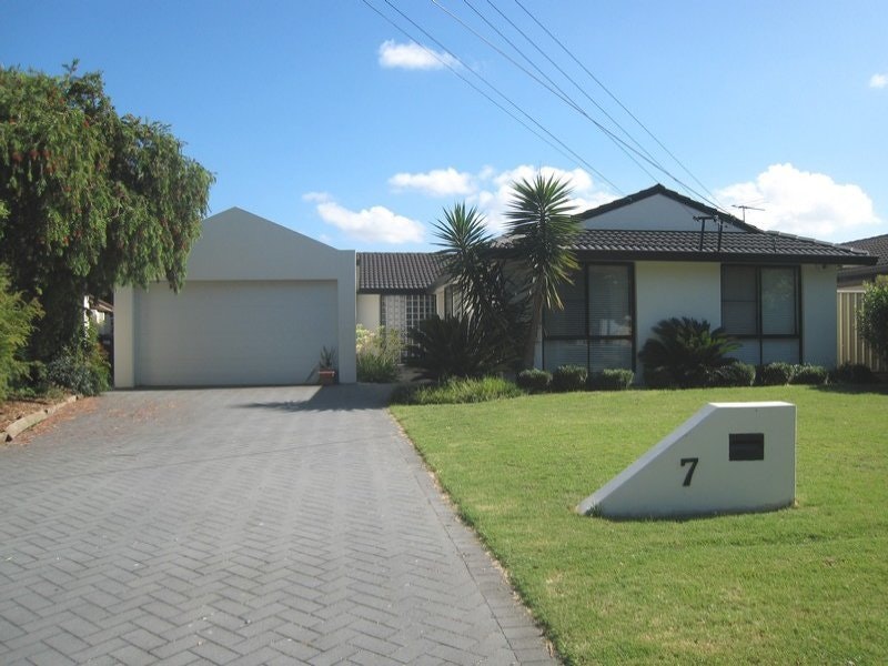 Image of grass