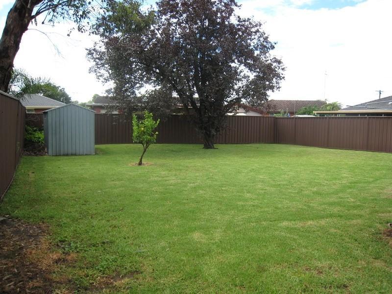 Image of backyard
