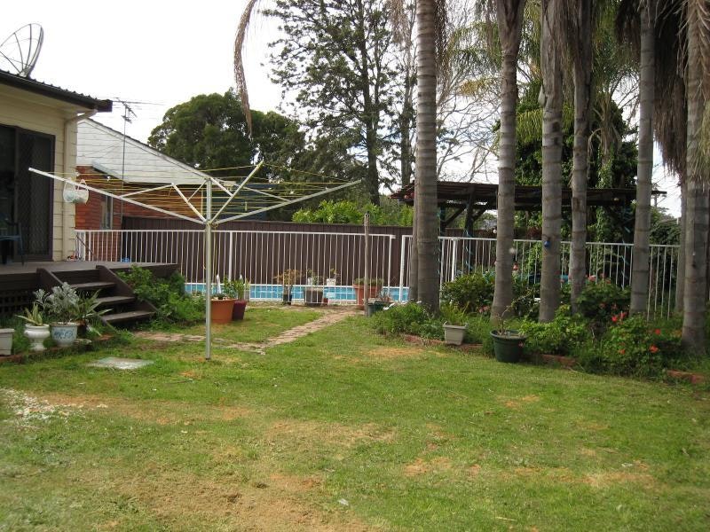 Image of backyard