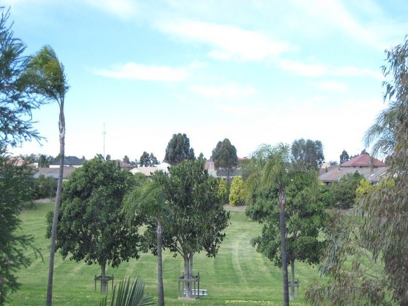 grass
