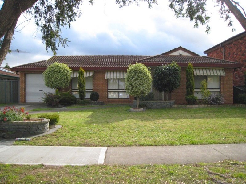 Image of grass