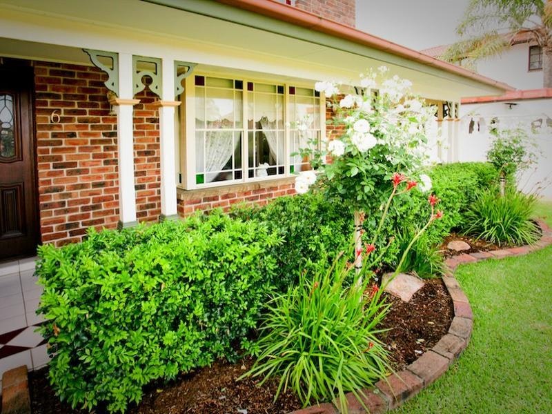 Image of backyard